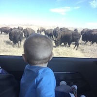 Thunder of the Plains
